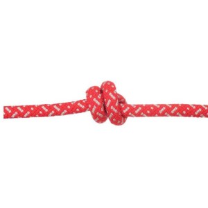 Edleweiss Discover 8mm Supereverdry Scrambling/Walking Confidence Rope